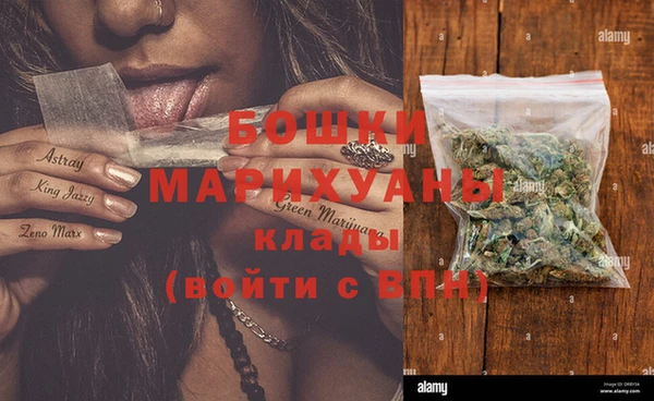 крисы Горняк