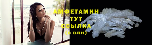 крисы Горняк