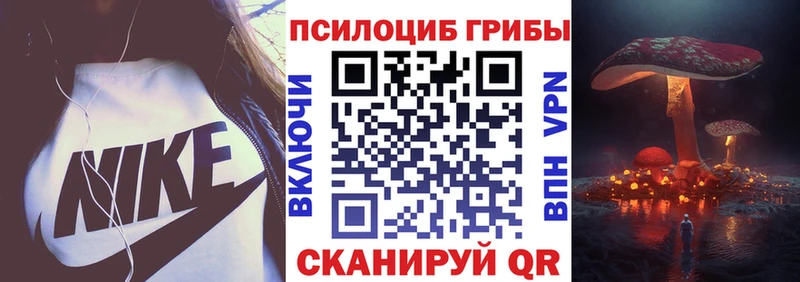 кракен как зайти  Дубовка  Галлюциногенные грибы Magic Shrooms  купить  